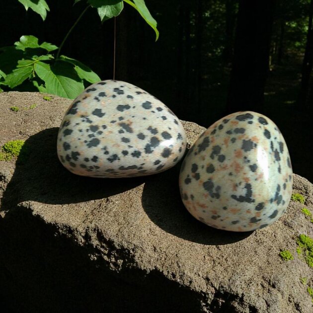 Medium Dalmatian Jasper Tumblestone 20-30mm
