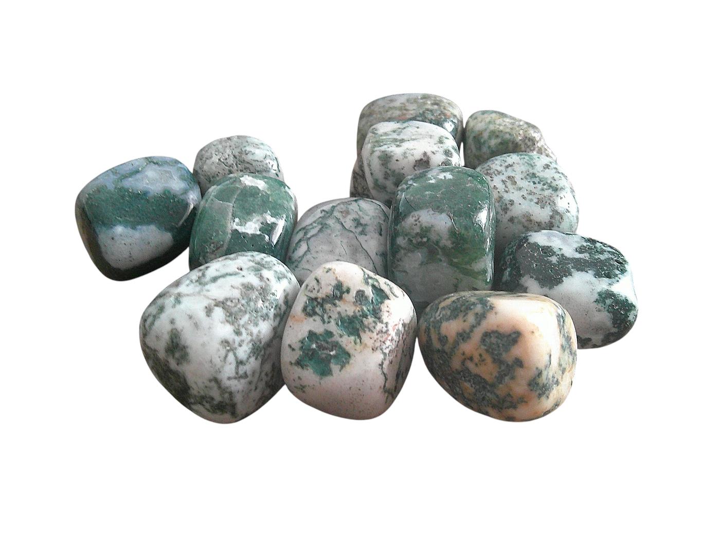 Medium Tree Agate Tumblestone 20-30mm - Image 3