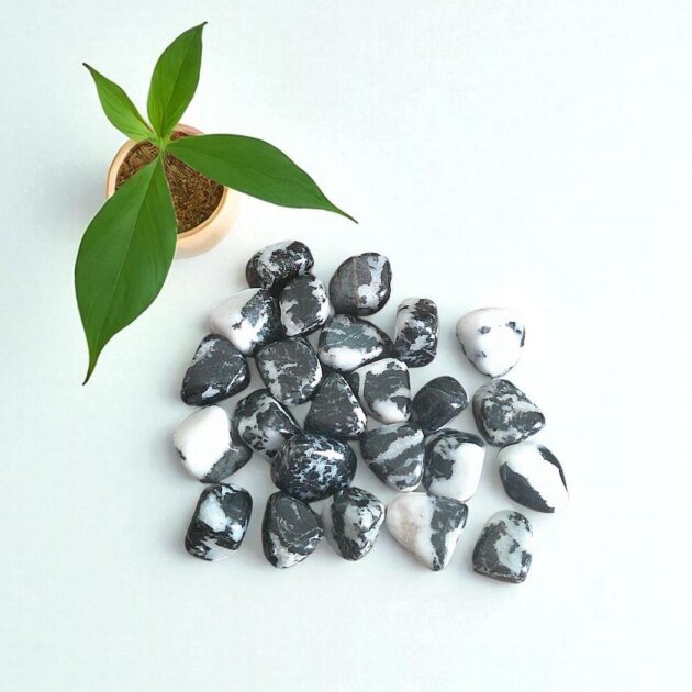 Small Zebra Jasper Tumblestone 10-20mm
