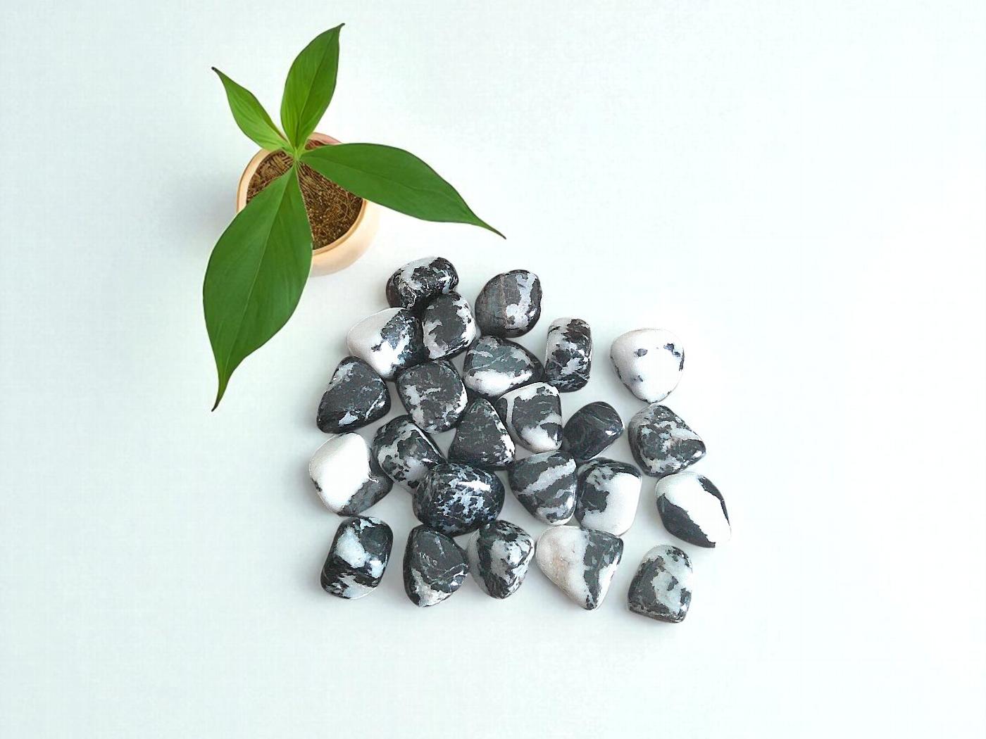 Small Zebra Jasper Tumblestone 10-20mm