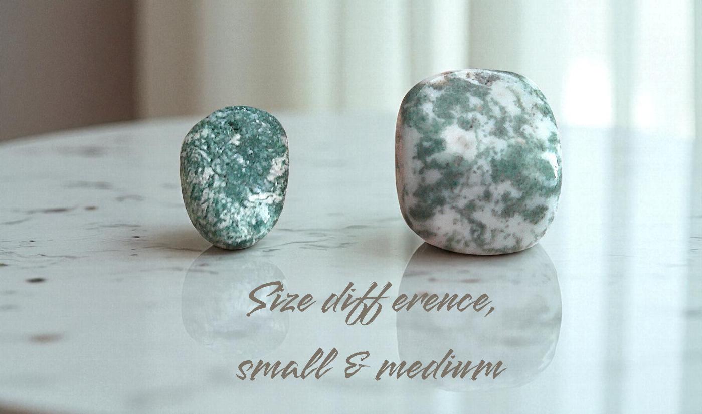 Medium Tree Agate Tumblestone 20-30mm - Image 2